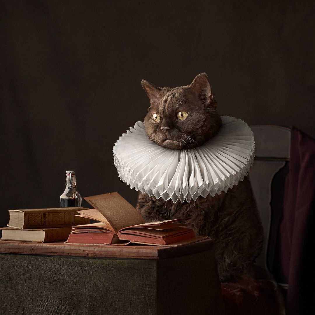 Brown cat wearing white ruff collar seated at a table with books and a glass bottle in a painterly, historic style.