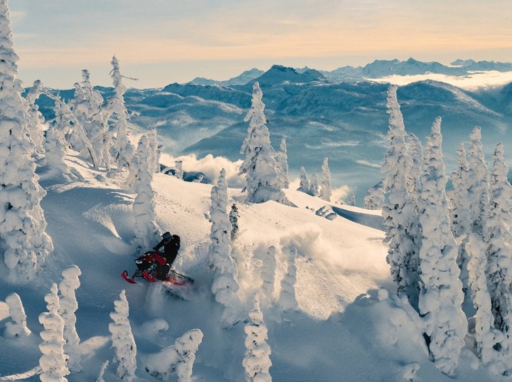 A snowmobile rider navigates a snowy mountain terrain amidst snow-covered trees, with a backdrop of majestic mountains under a clear sky.