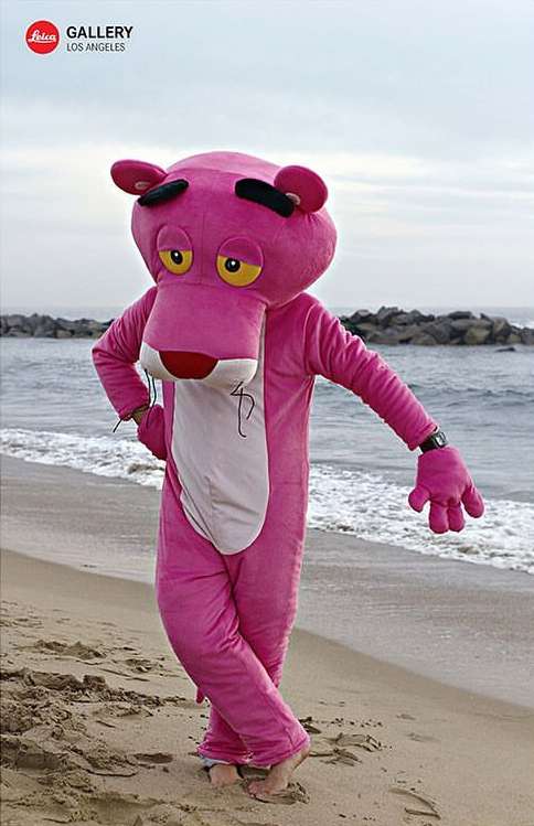 Person in Pink Panther costume stands on a sandy beach, ocean waves and rocks in background, captured in an eye-level full shot.