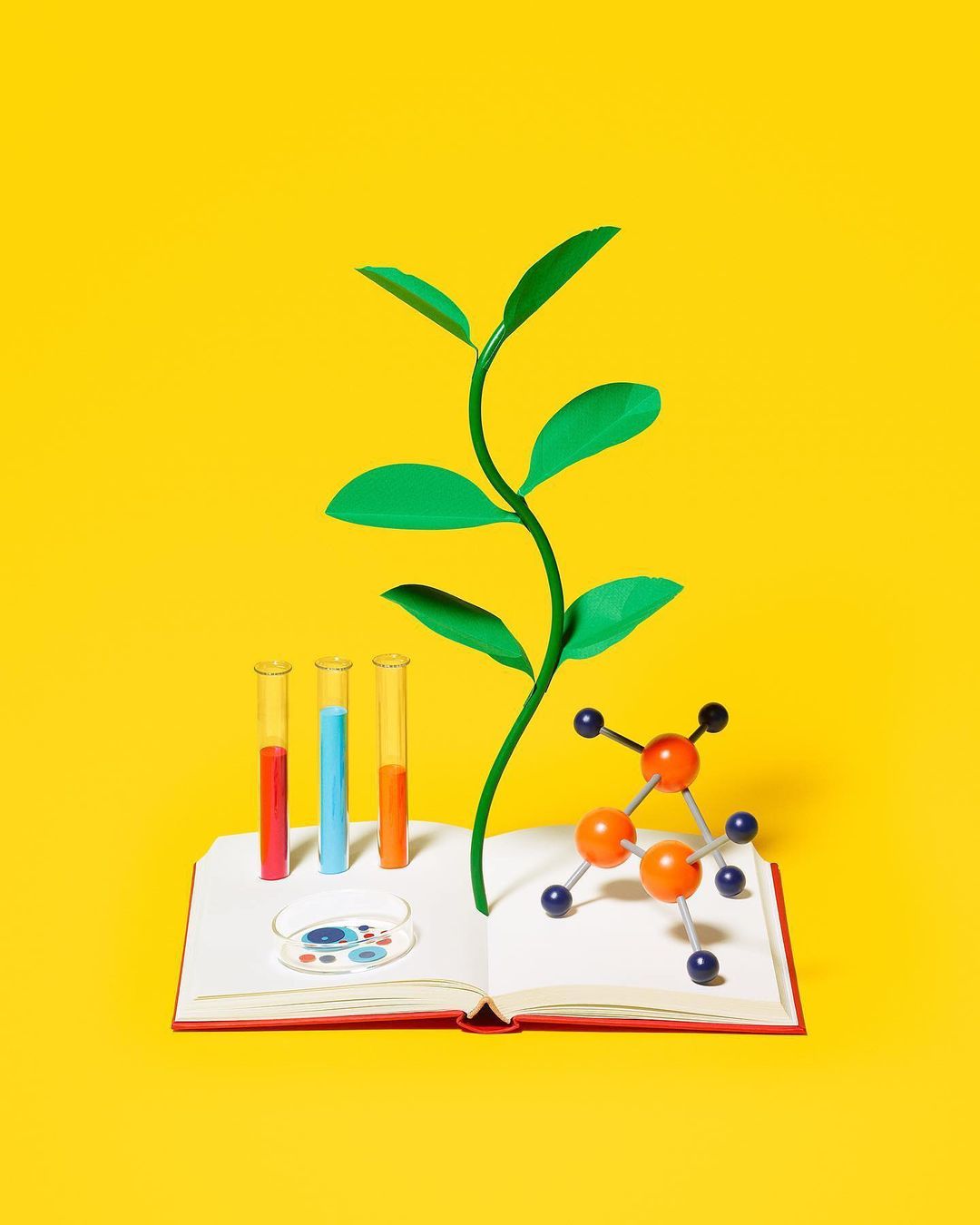Open book with a green paper plant, test tubes, and molecule model against a yellow backdrop. Laboratory science and educational concept.