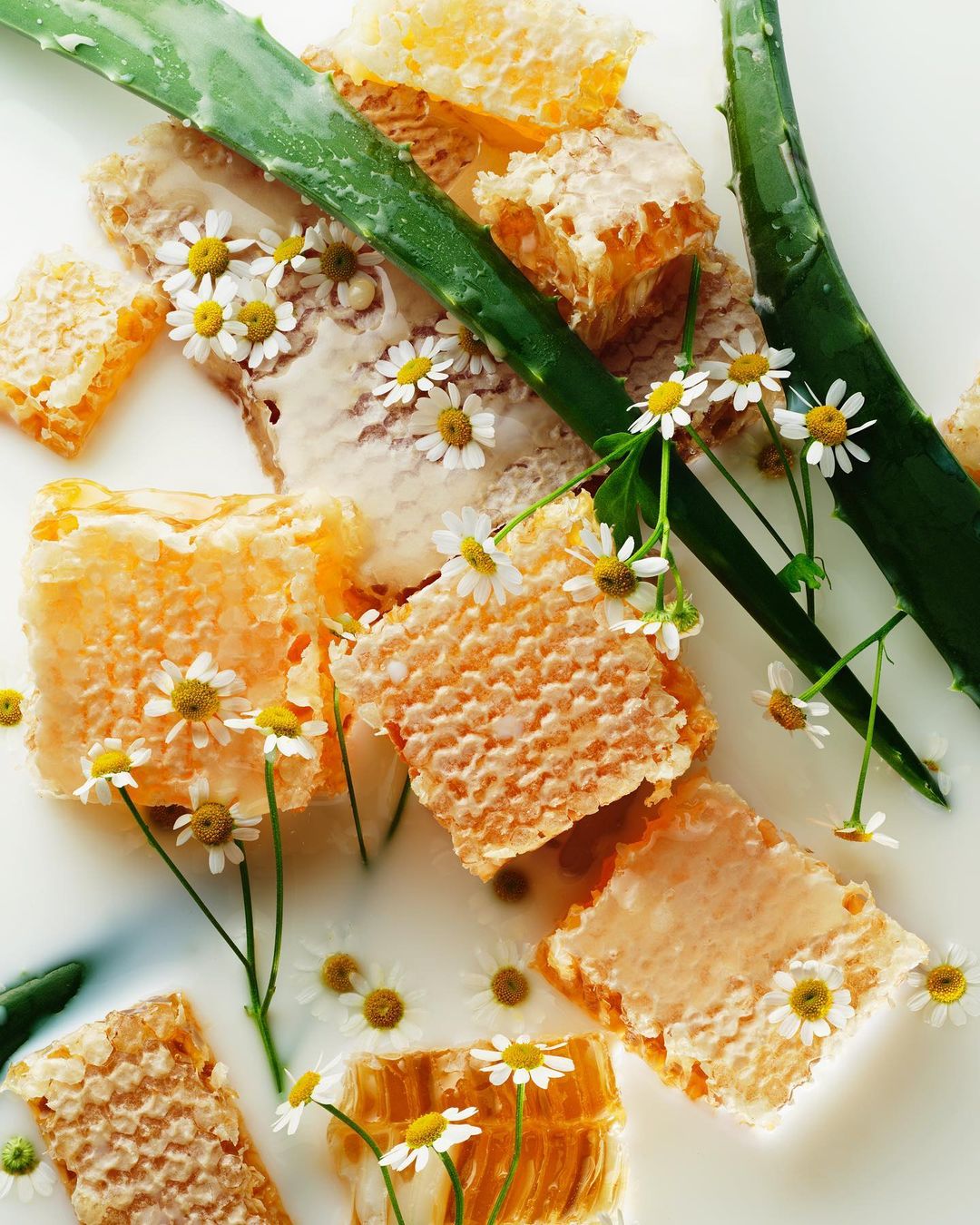 Honeycomb pieces and aloe vera leaves arranged with chamomile flowers on a white surface, creating a natural and fresh composition.