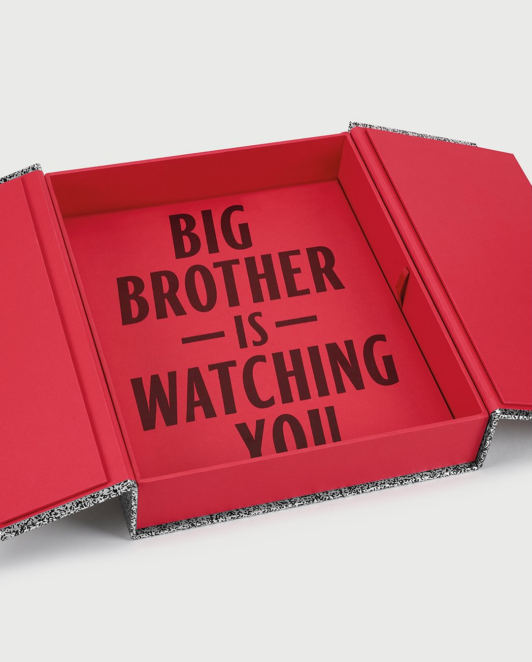 Open red box with the text: 'Big Brother is Watching You' in black font, interior view, set against a plain background.