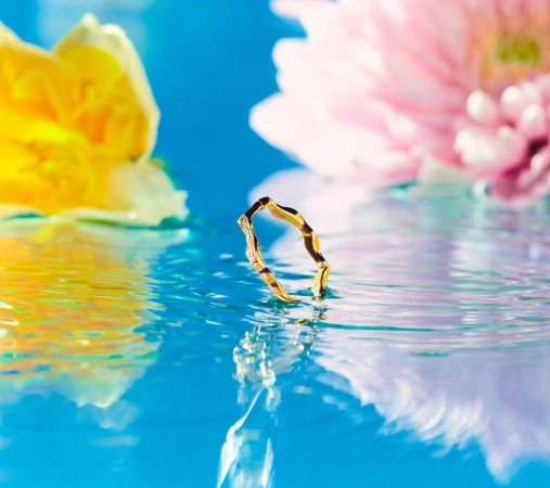 Gold ring resting in water with yellow and pink floral reflections under bright sunlight by Laia Benavides