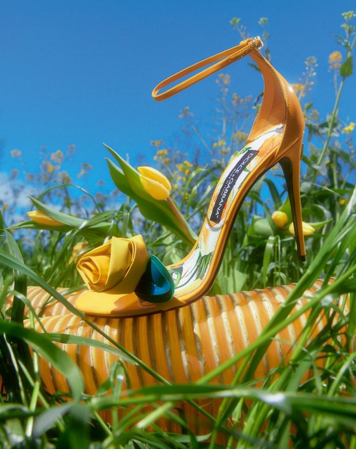 High-heeled Dolce & Gabbana sandal with flower detail on a striped platform, set in green grass under a blue sky.