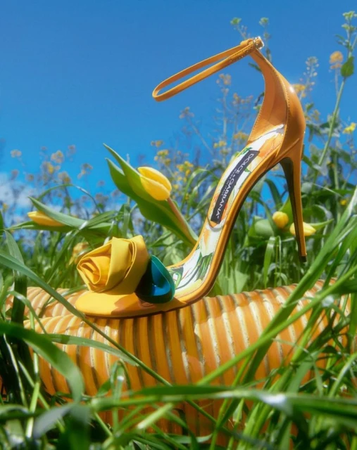 High-heeled Dolce & Gabbana sandal with flower detail on a striped platform, set in green grass under a blue sky.