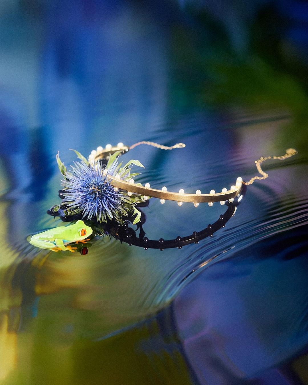 Close-up of a red-eyed tree frog next to a thistle flower and beaded jewelry on a reflective surface with a blue and green background.