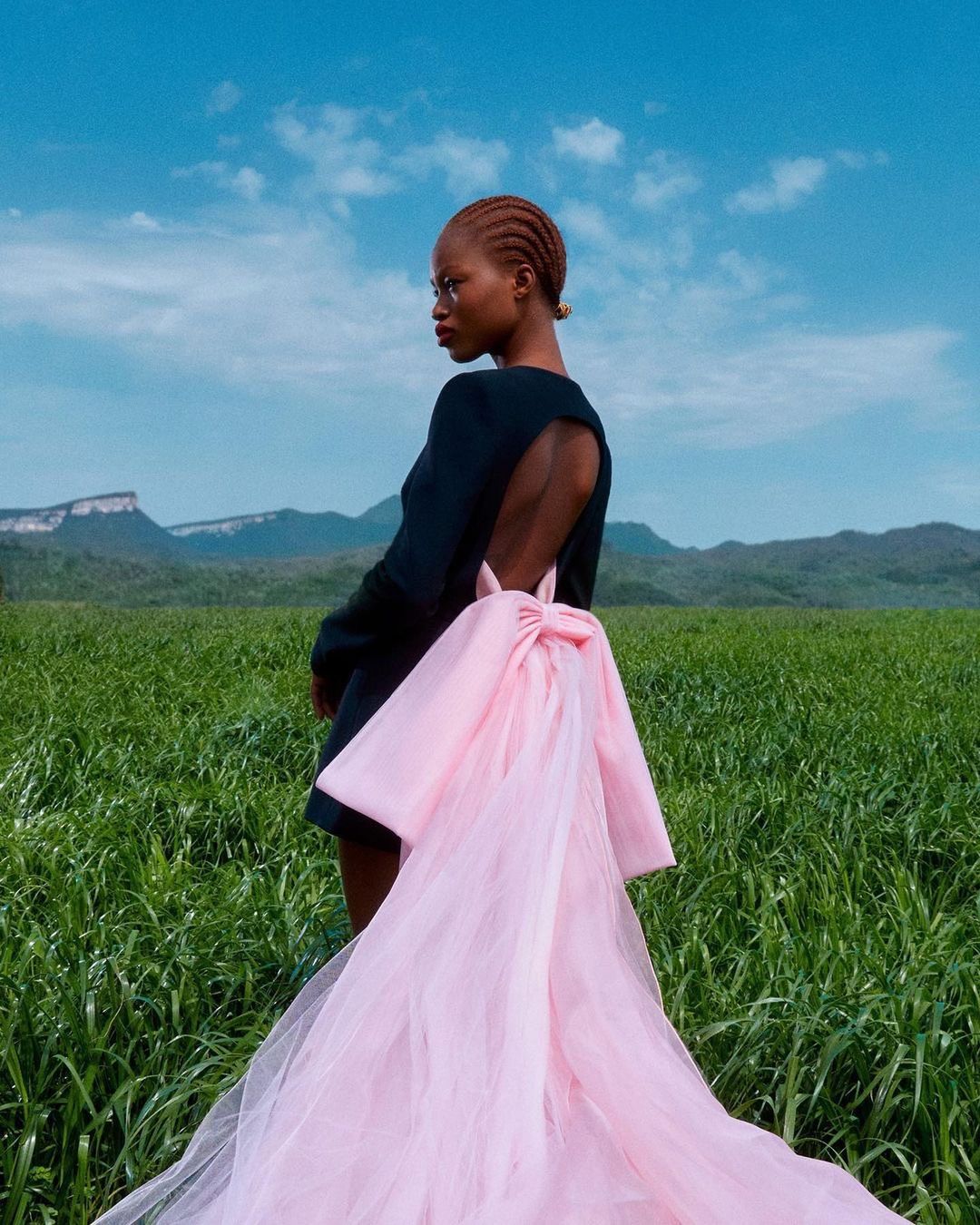 Woman in open-back dress with large pink bow poses in a green field under a blue sky. Landscape view, fashion editorial.