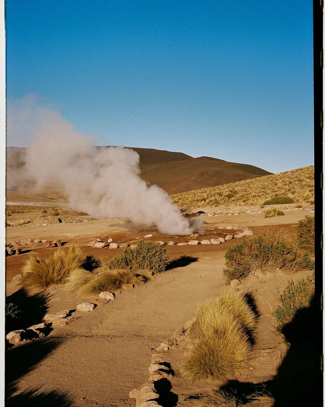 Desert landscape with a geyser emitting steam against a clear blue sky, featuring a winding dirt path with rock borders.