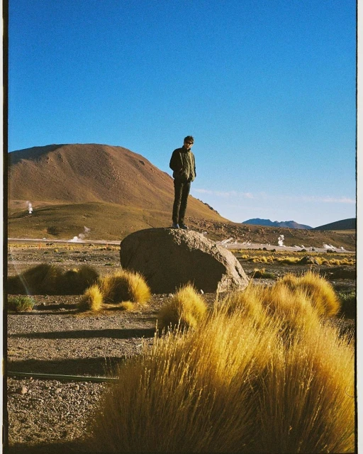 A person stands on a rock in a desert landscape under a clear blue sky, surrounded by tall grass and distant mountains.