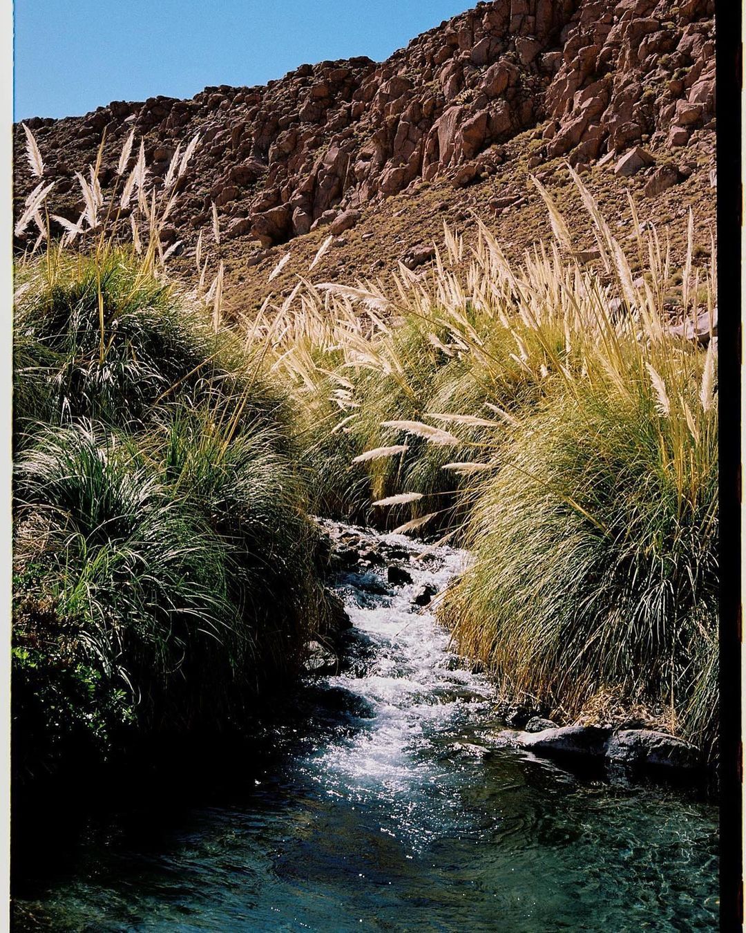 Landscape featuring a small stream flowing through lush green grass and reeds against a backdrop of rugged, rocky mountains.