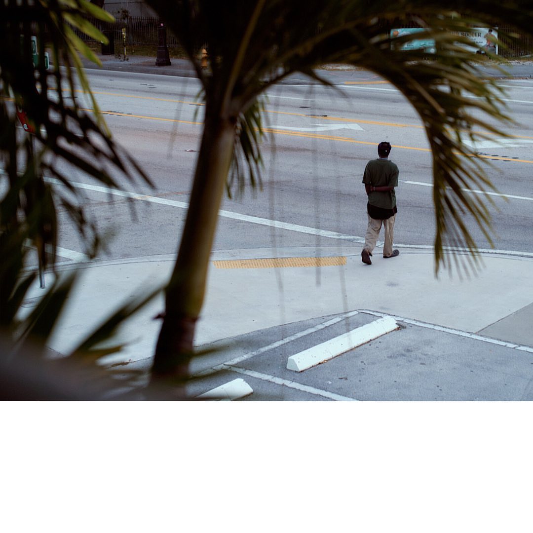 An adult man stands on a city street corner at dusk, as seen through palm tree branches. The man wears a casual outfit.