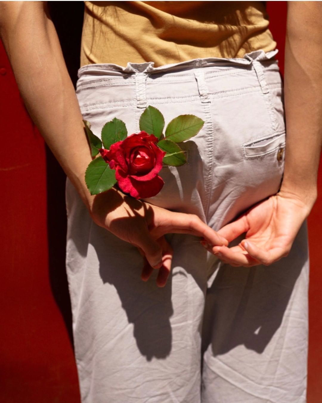Person from the waist down holding a red rose behind their back against a red background with a light shadow on the lower right side.