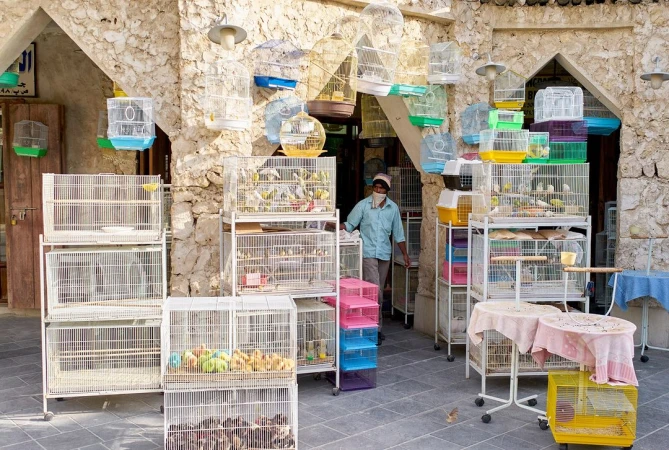 Outdoor bird market with numerous birdcages, displaying colorful birds, and a shopkeeper wearing a face mask in front of a stone building.