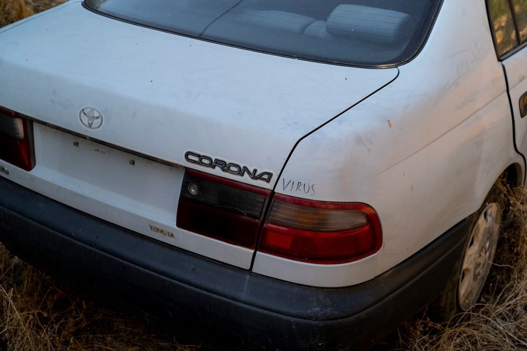 Rear view of a weathered white Toyota Corona sedan with black trim and tall grass visible beneath, suggesting the car is unused.