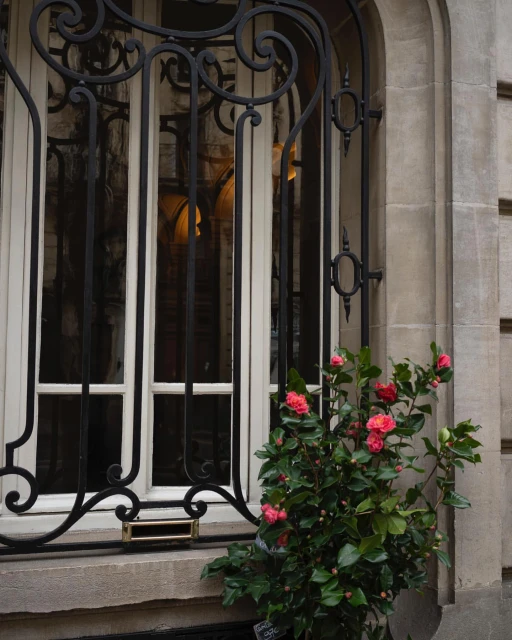 Exterior shot of a window with a decorative wrought iron grate, flanked by a beige stone wall and a blooming rose bush with red flowers.