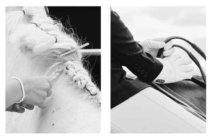 Close-up of a white horse being groomed with a comb and having its mane braided, next to a rider in a suit holding reins.