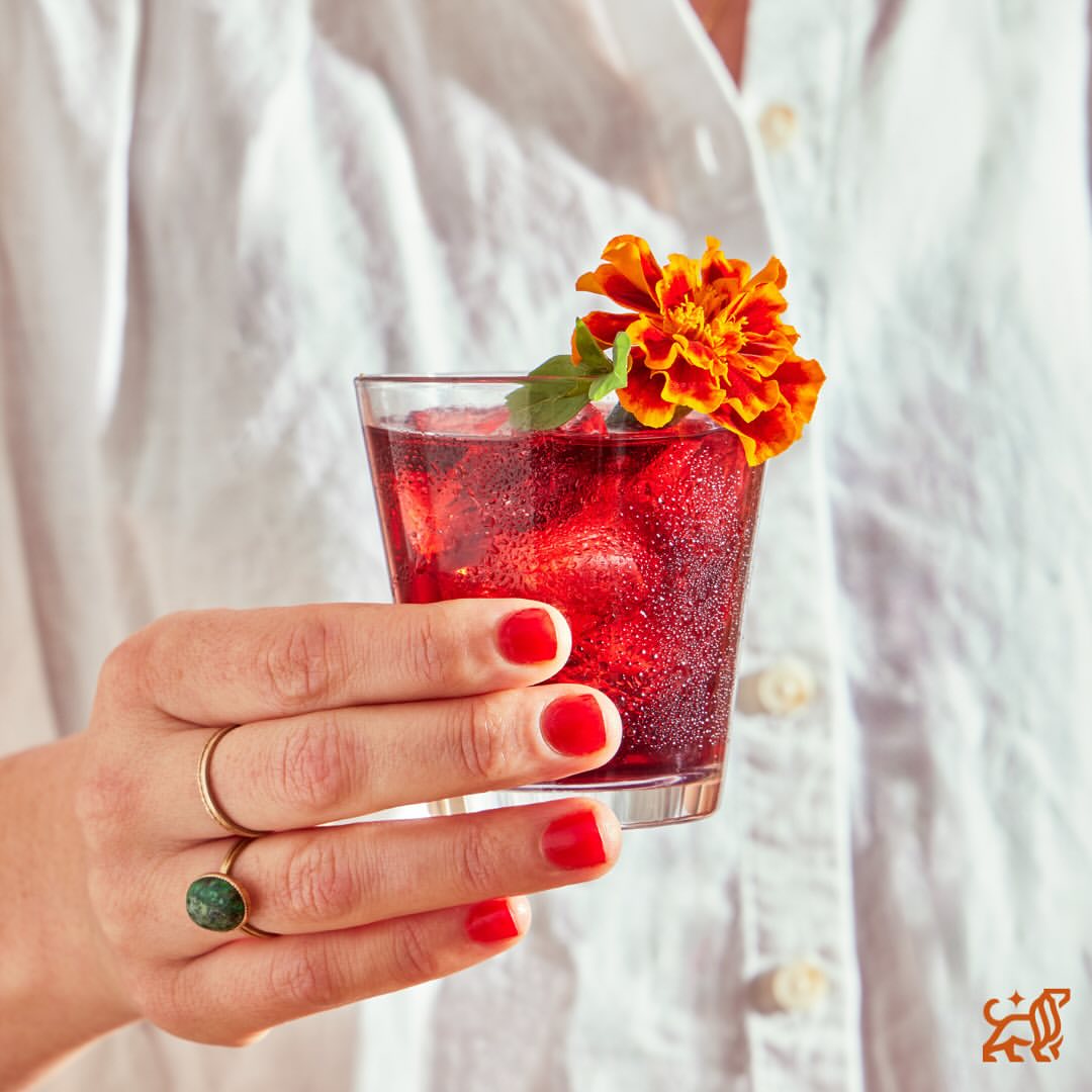 Woman's hand holding a cocktail glass filled with a red beverage, ice cubes, and garnished with an orange flower on a white background.