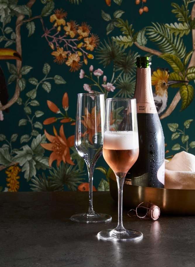 Rose champagne flutes and bottle on dark countertop with jungle-themed wallpaper featuring toucans and foliage; beverage and celebration.