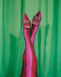 Close-up of crossed legs wearing two-tone pink and burgundy tights and pointed shoes against green fabric.