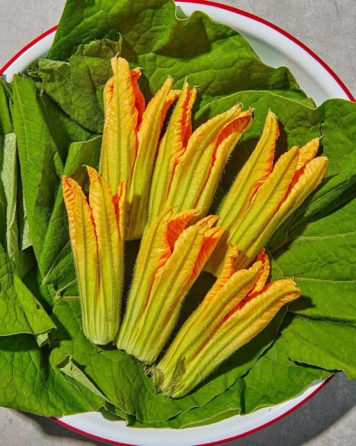 Overhead shot displays bright yellow zucchini flowers on a bed of large, textured green leaves in a white bowl with a red rim.