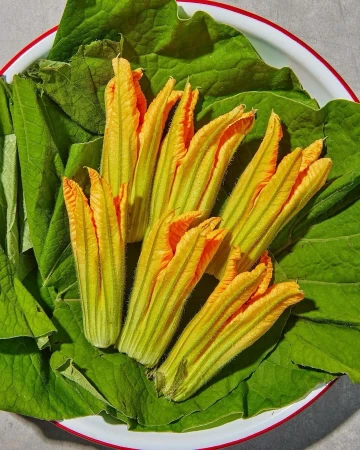 Overhead shot displays bright yellow zucchini flowers on a bed of large, textured green leaves in a white bowl with a red rim.