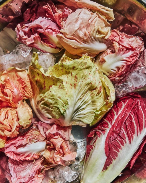Close-up of a mix of radicchio varieties and ice cubes in a stainless steel bowl, shot from an overhead angle with natural lighting.