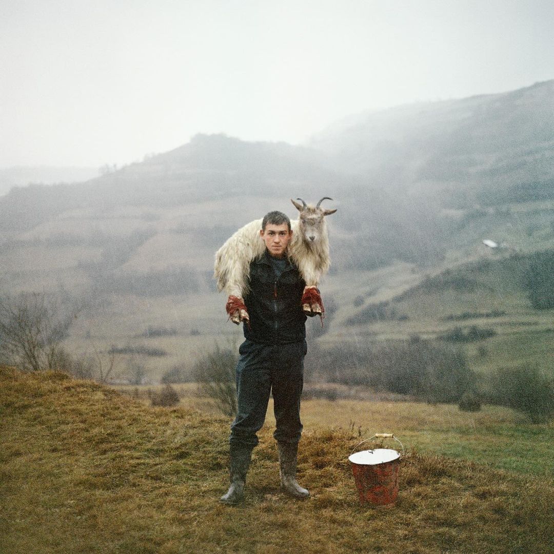 Man stands in a rural landscape with a goat draped over his shoulders, bucket on the ground, and rolling hills in the background.