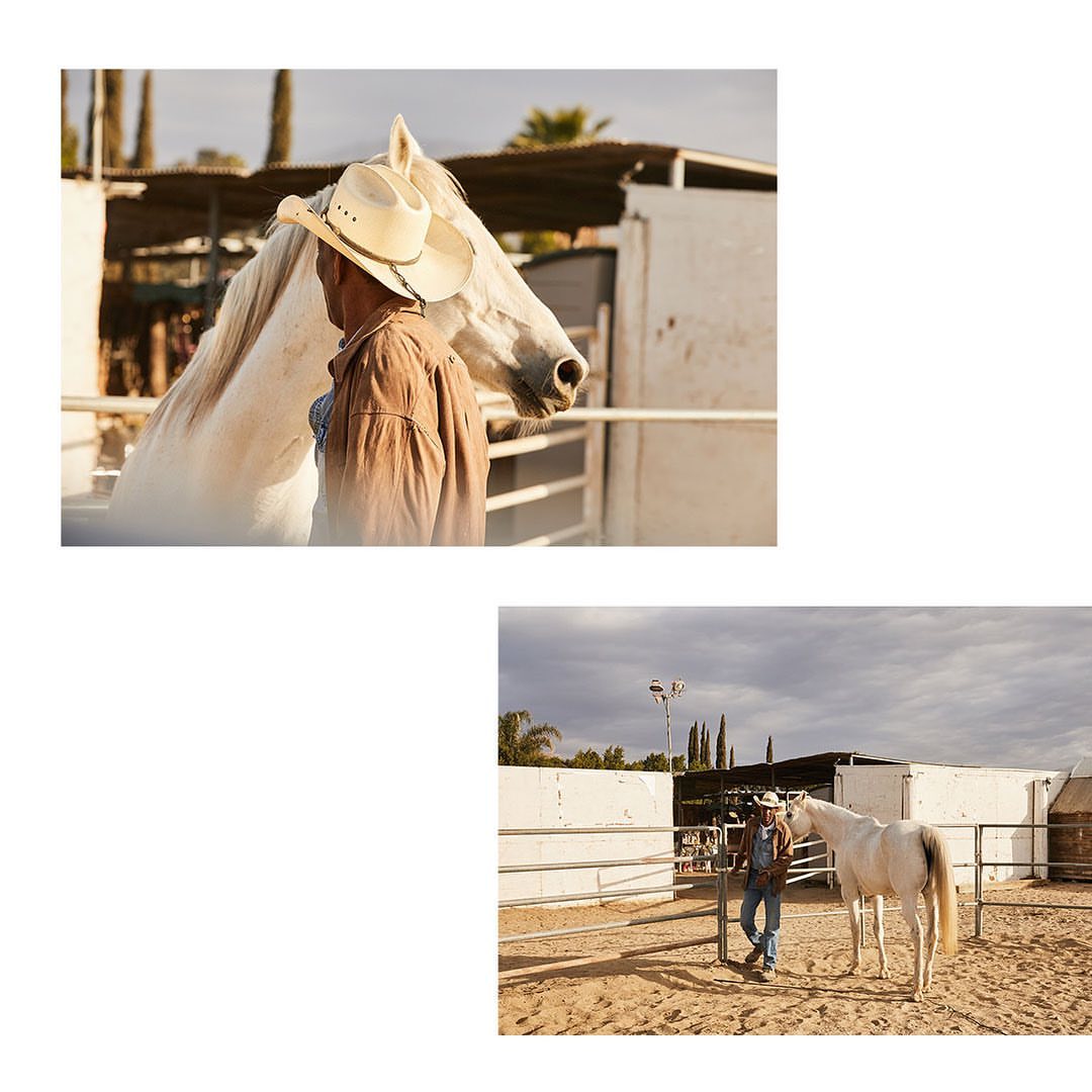 White horse and human in outdoor ranch setting. Cowboy in western hat standing with horse inside a corral under natural lighting.