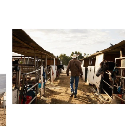 Man in cowboy hat walks down outdoor corridor lined with horse stalls on a sunny day. Horses visible in stalls, dirt floor.