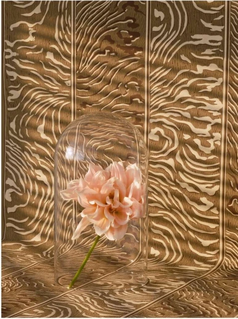 Close-up studio shot of a peach-colored dahlia flower under a clear glass dome, set against a brown patterned background. Elegant floral presentation.