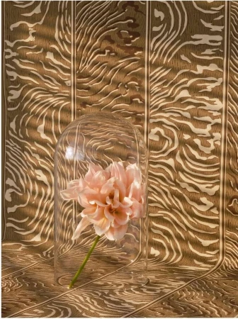 Close-up studio shot of a peach-colored dahlia flower under a clear glass dome, set against a brown patterned background. Elegant floral presentation.