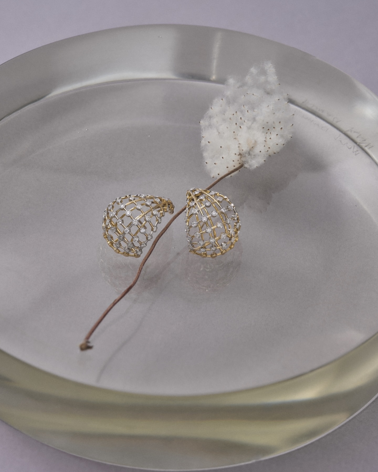 Elegant jewelry shot showcases a pair of ornate earrings on a reflective surface, enhanced by a decorative cotton branch.