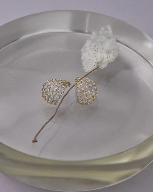 Elegant jewelry shot showcases a pair of ornate earrings on a reflective surface, enhanced by a decorative cotton branch.