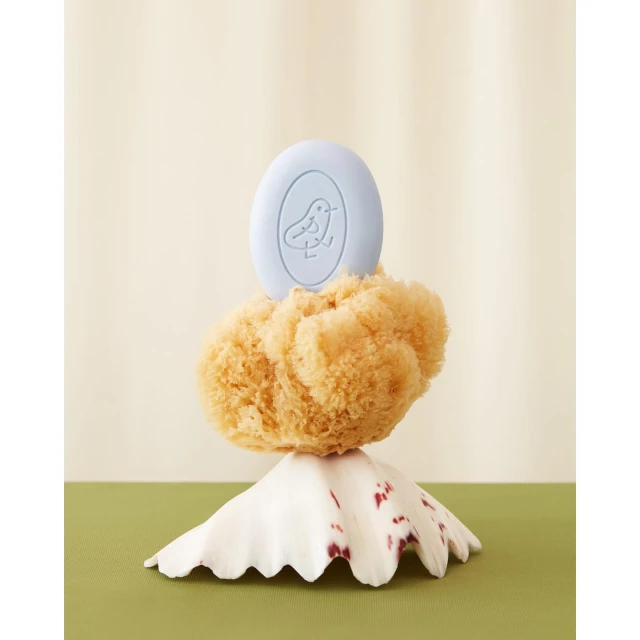 Still life shot of a blue soap bar with a bird logo resting on top of a natural sea sponge, which is placed on a seashell.