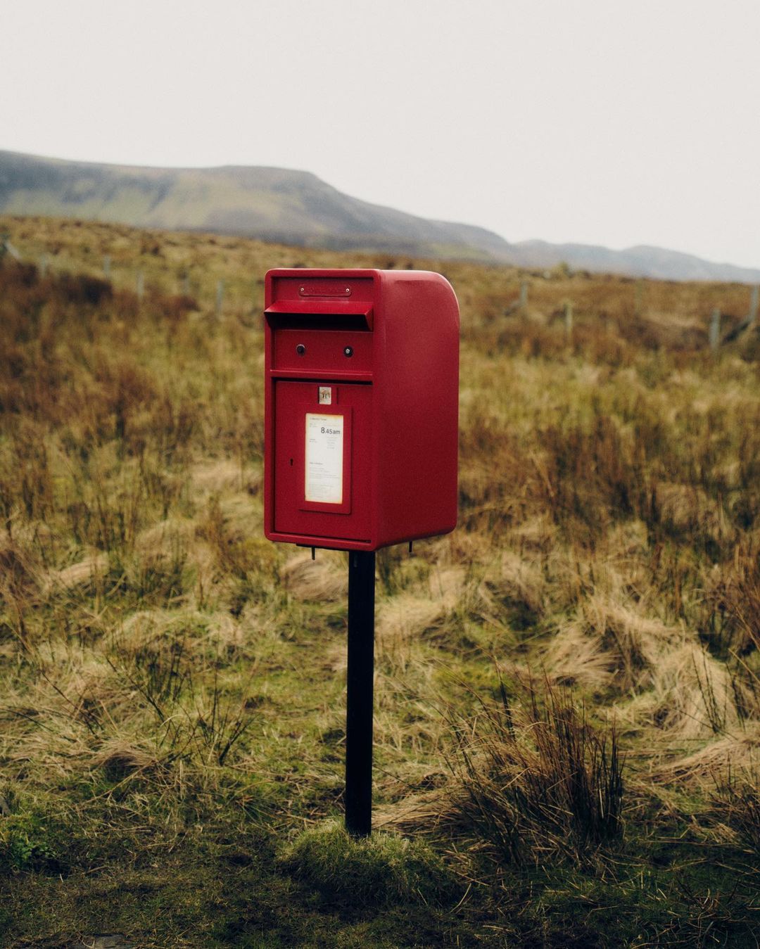 A red British Royal Mail post box stands in a field of brown grass against a backdrop of rolling hills under an overcast sky.