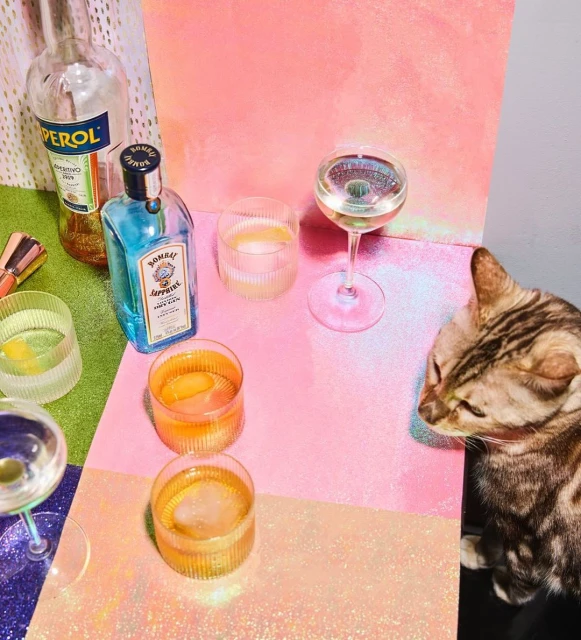 Still life with cocktail glasses, bottles, and a cat on a multicolored glitter surface against a pink background, creating a stylish and playful scene.