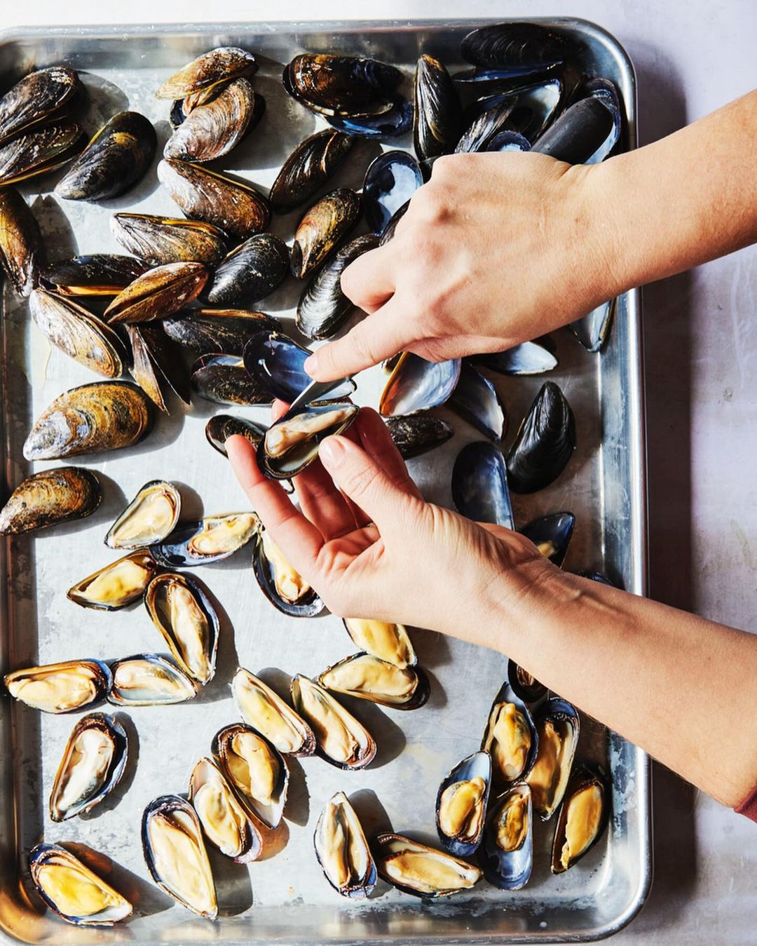 Overhead shot of mussels on a metal tray, being prepared by a light-skinned person pointing at an open shell, for food preparation.