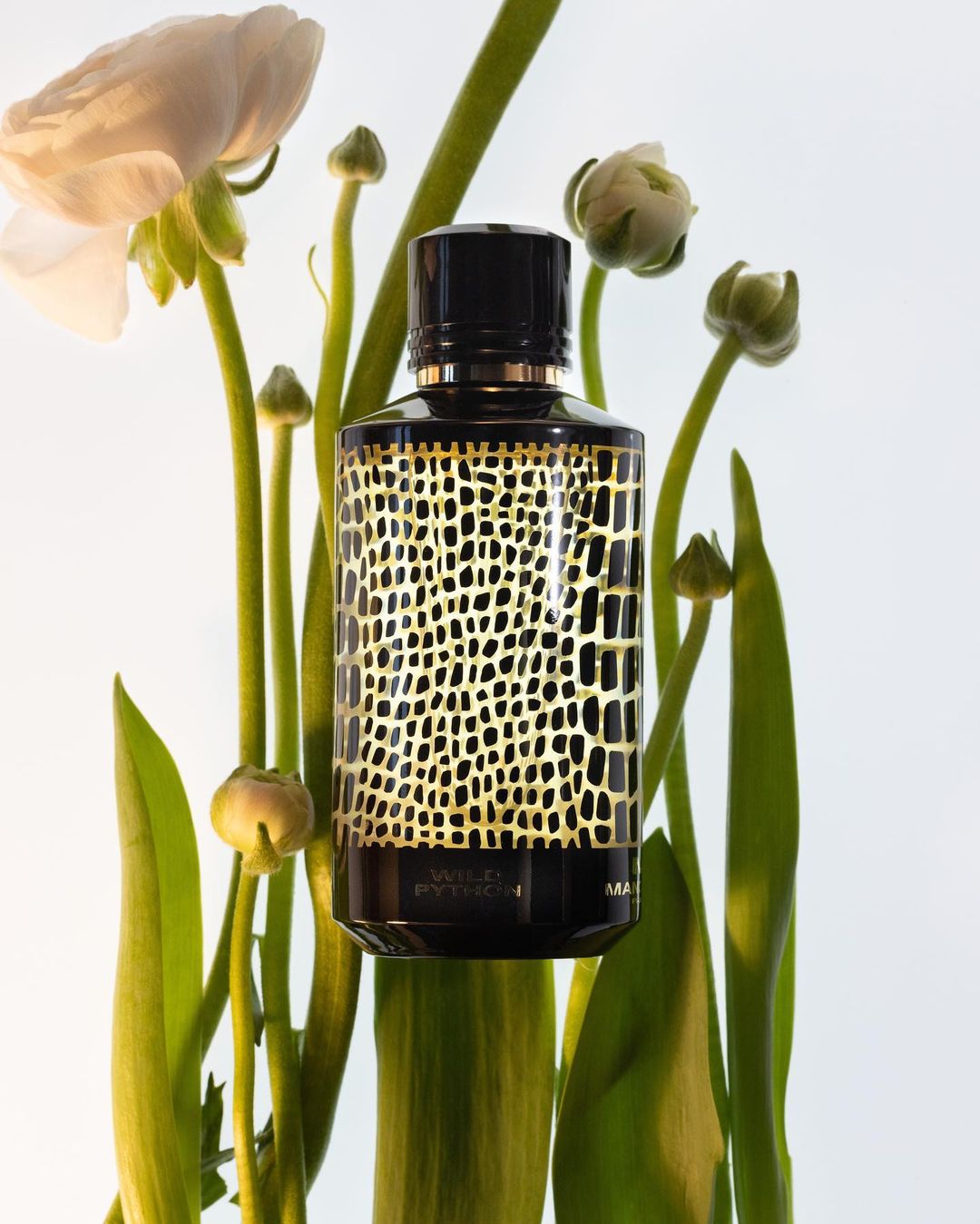 Luxury perfume bottle with a black cap and gold reptile pattern, surrounded by white flowers and green stems against a white backdrop.