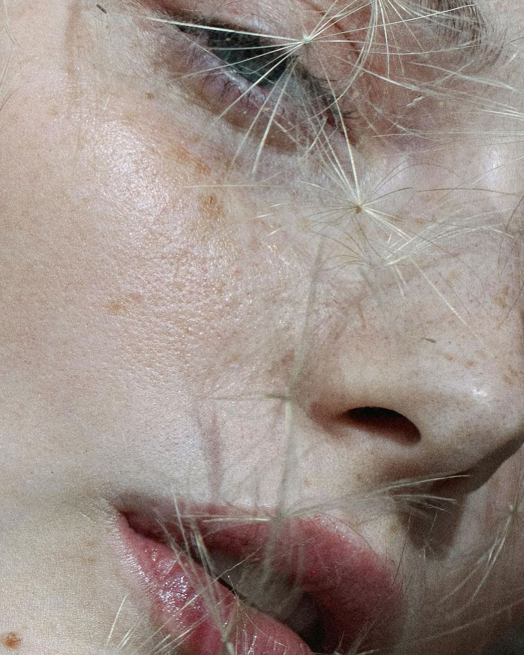 Close-up of an adult woman's face showing her eye, nose, and mouth, with dandelion seed parachutes lightly overlaying her features.