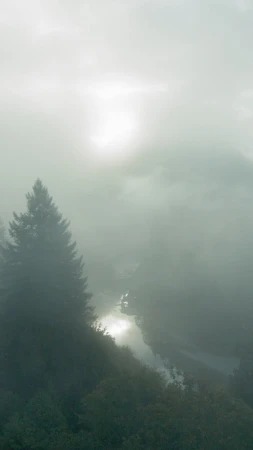 Misty river landscape featuring an evergreen tree and fog-covered trees on riverbanks under a hazy sky with soft light.