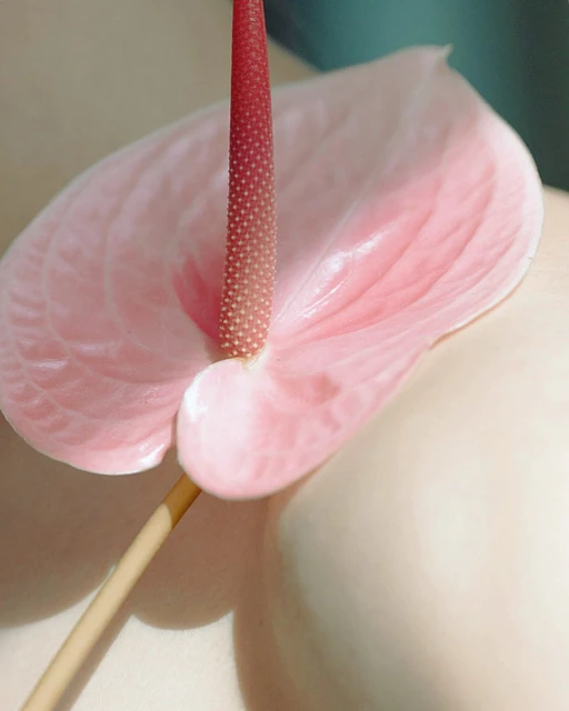 Macro shot of a pink Anthurium flower showcasing its spadix and bract, with a blurred background highlighting its delicate texture and color.