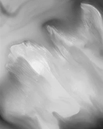 Monochrome macro photograph of flowing organic liquid or waxy texture by Laurent Castellani in Paris.