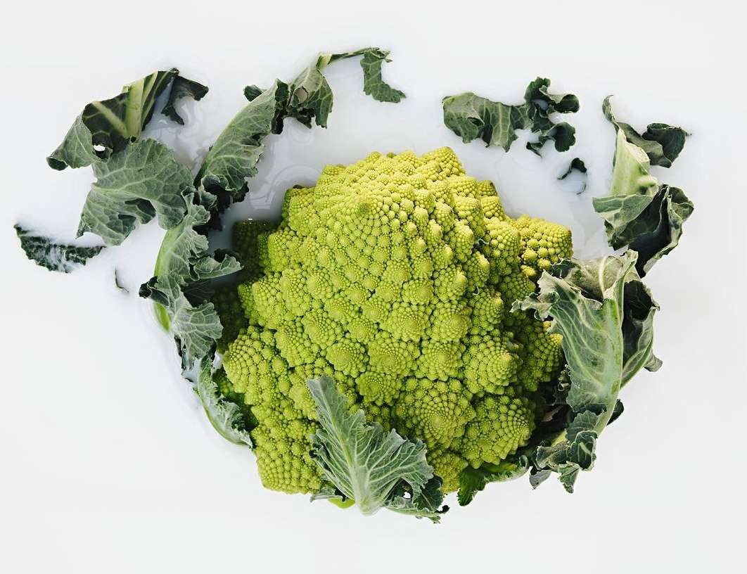 Overhead shot of vibrant green Romanesco broccoli surrounded by loose leaves, set against a bright white background in a studio setting.
