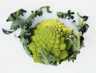 Romanesco broccoli head with intricate fractal patterns and dark green leaves floating in white milk against a bright backdrop.