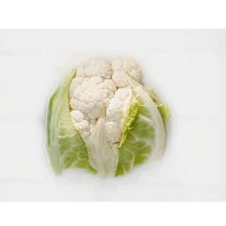Close-up of a fresh white cauliflower head partially wrapped in light green leaves on a white background
