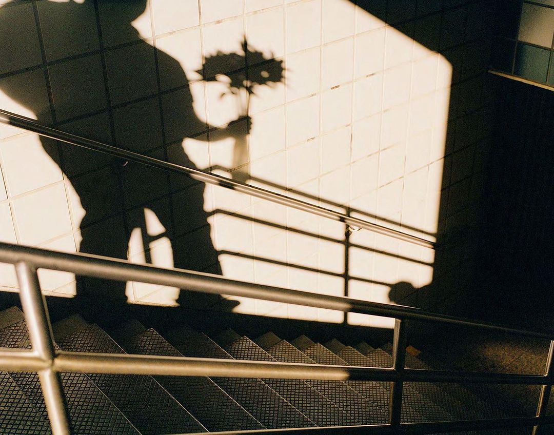High-angle shot of stairs with metal railings, shadow of person holding flowers cast on the wall above in a warm indoor light.