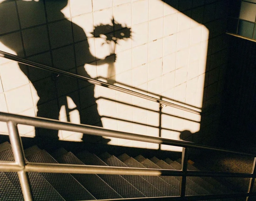 High-angle shot of stairs with metal railings, shadow of person holding flowers cast on the wall above in a warm indoor light.