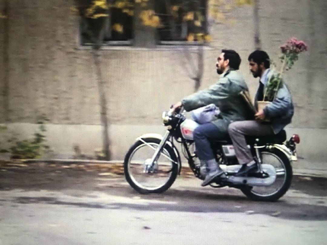 Two men ride a motorcycle down a city street carrying a potted plant. The background includes buildings and trees.