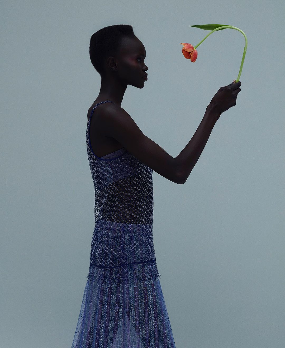 Profile view of a dark-skinned woman in a sparkling dress holding a tulip in a studio setting, focusing on fashion and artistic expression.