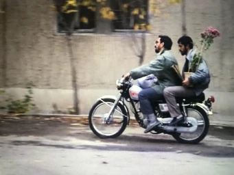 Two men riding a motorcycle down a street, the passenger holding a potted plant with pink flowers.